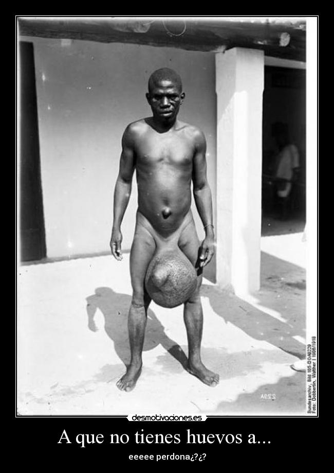 carteles huevos desmotivaciones