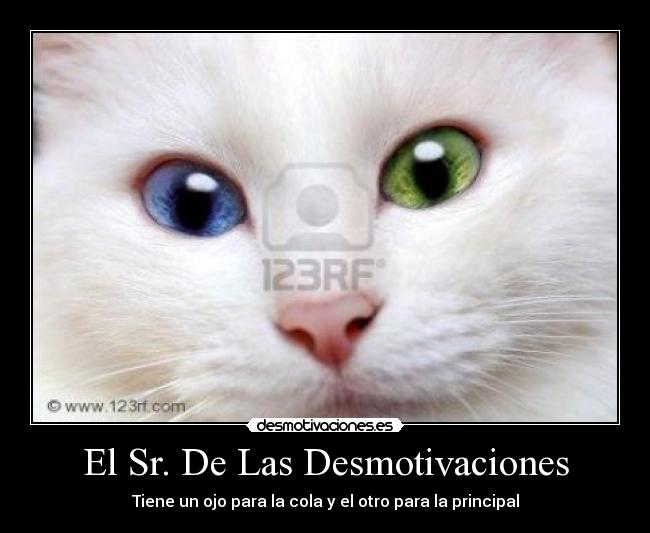 El Sr. De Las Desmotivaciones -