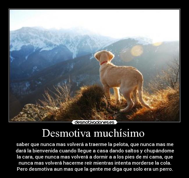 Desmotiva muchísimo -