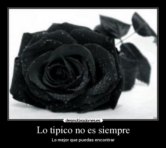 carteles rosa negra desmotivaciones