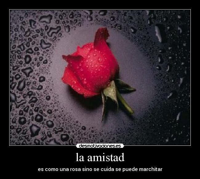 carteles amistad lareti desmotivaciones