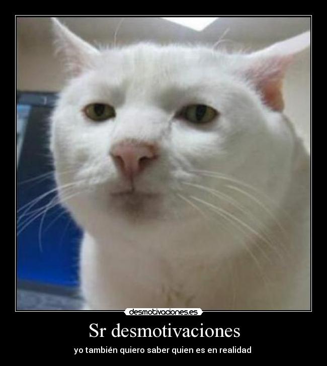 Sr desmotivaciones - 