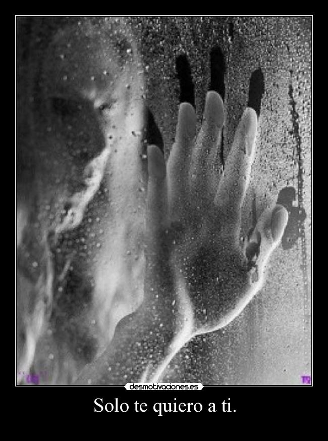Solo te quiero a ti. -