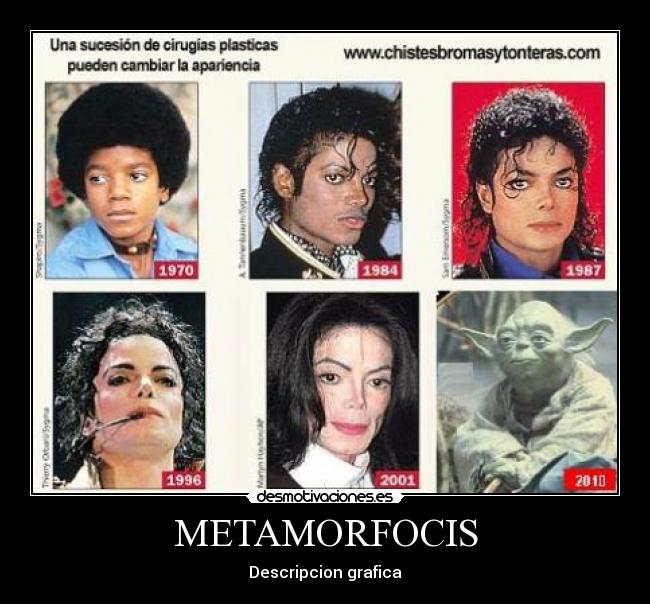 METAMORFOCIS - Descripcion grafica