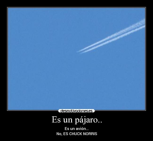 Es un pájaro.. - Es un avión...
No, ES CHUCK NORRIS