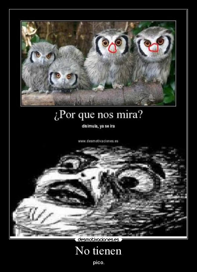 carteles sin pico desmotivaciones