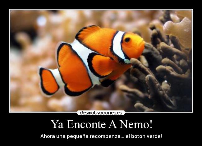 Ya Enconte A Nemo! -