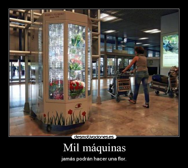 carteles flor desmotivaciones