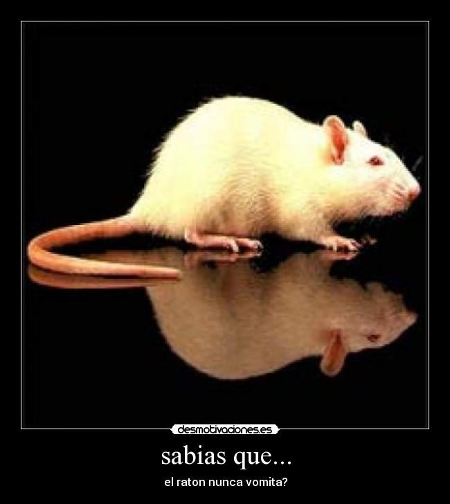 sabias que... - 