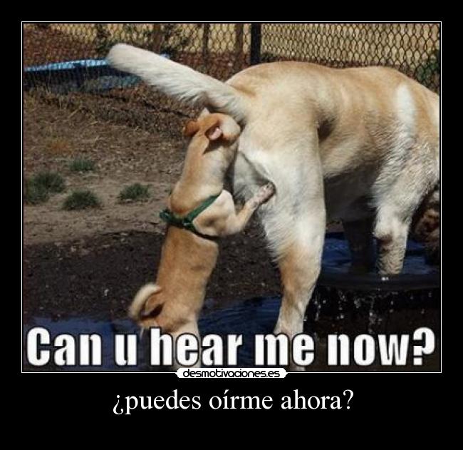 ¿puedes oírme ahora? - 
