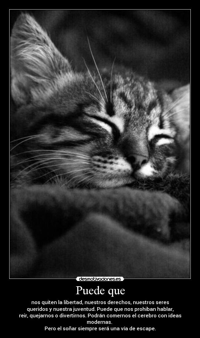 Puede que - nos quiten la libertad, nuestros derechos, nuestros seres
queridos y nuestra juventud. Puede que nos prohiban hablar,
reir, quejarnos o divertirnos. Podrán comernos el cerebro con ideas
modernas.
Pero el soñar siempre será una vía de escape.