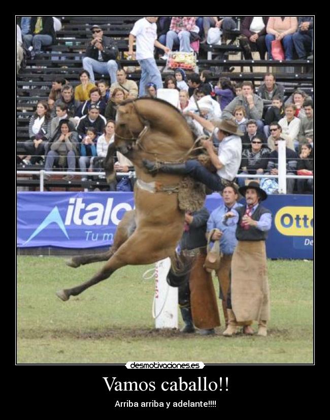 Vamos caballo!! - Arriba arriba y adelante!!!!