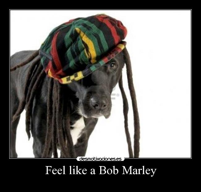 Feel like a Bob Marley - 