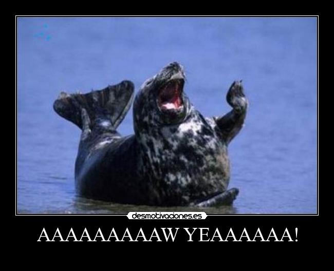 AAAAAAAAAW YEAAAAAA! - 