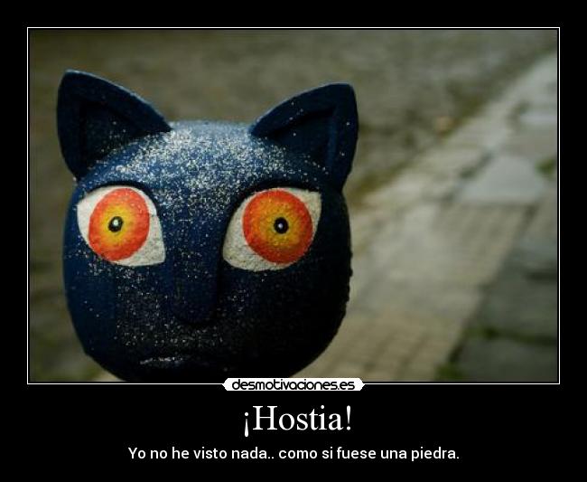 ¡Hostia! - Yo no he visto nada.. como si fuese una piedra.