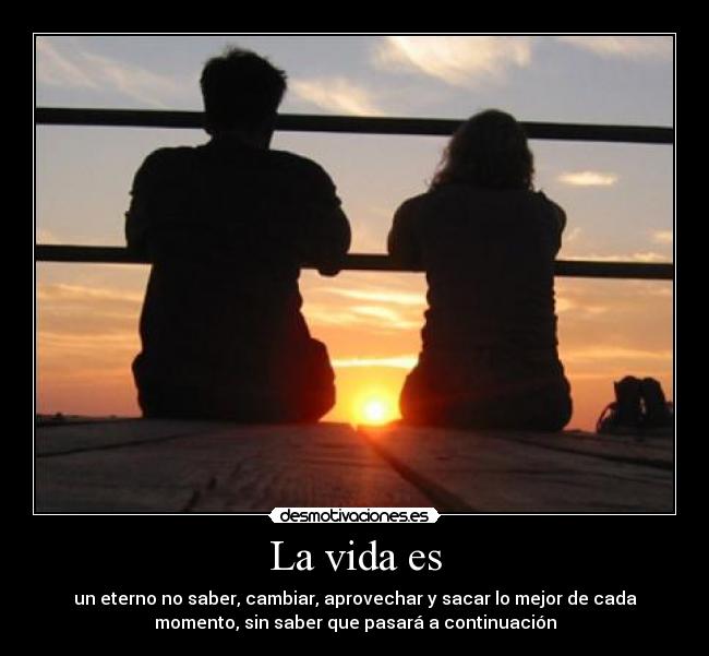 carteles vida ayayayquedise desmotivaciones