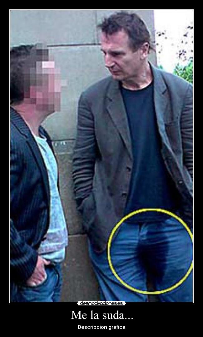 Me la suda... - Descripcion grafica