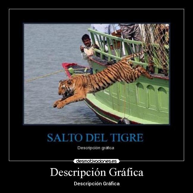 Descripción Gráfica -