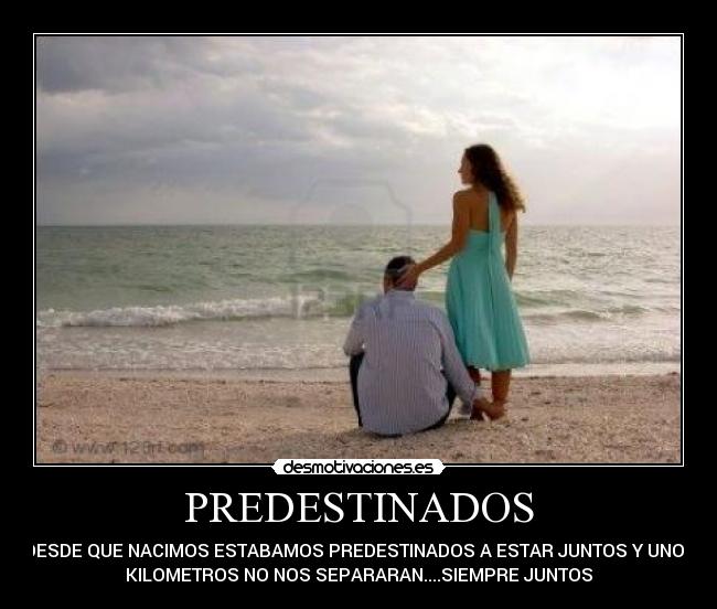 PREDESTINADOS - 