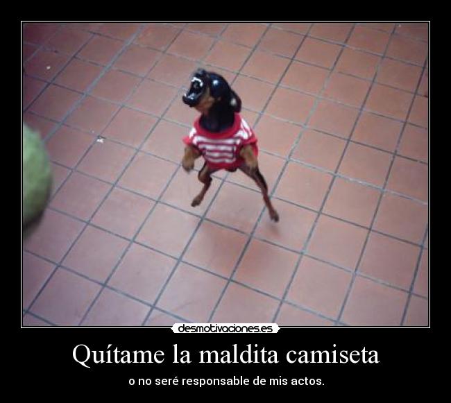 Quítame la maldita camiseta - 