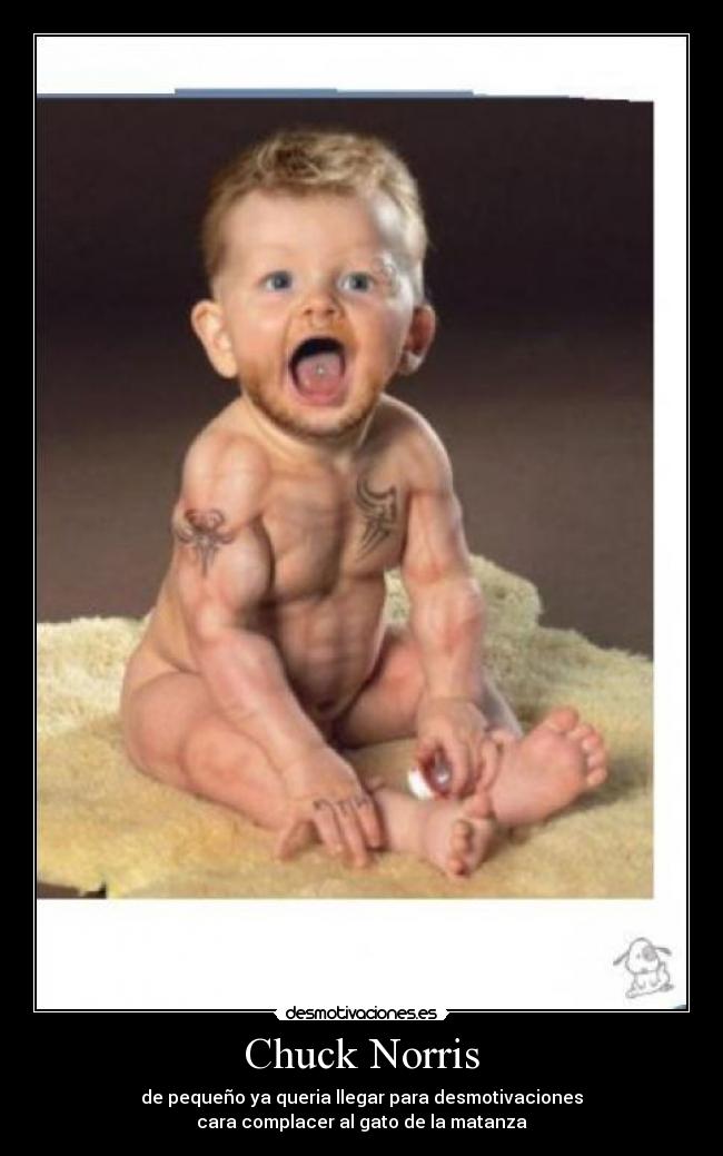 Chuck Norris - de pequeño ya queria llegar para desmotivaciones
cara complacer al gato de la matanza