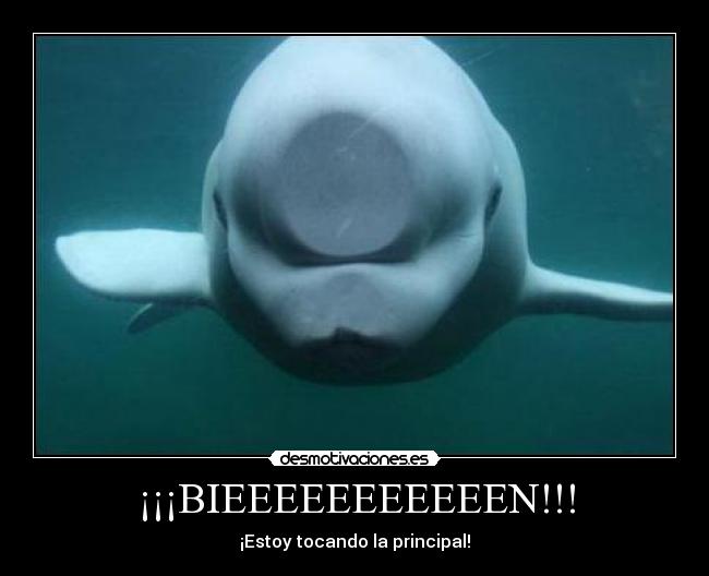 ¡¡¡BIEEEEEEEEEEEN!!! - ¡Estoy tocando la principal!