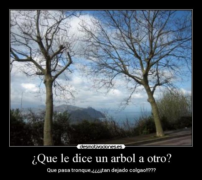 ¿Que le dice un arbol a otro? - Que pasa tronque,¿¿¿¡¡tan dejado colgao!!???