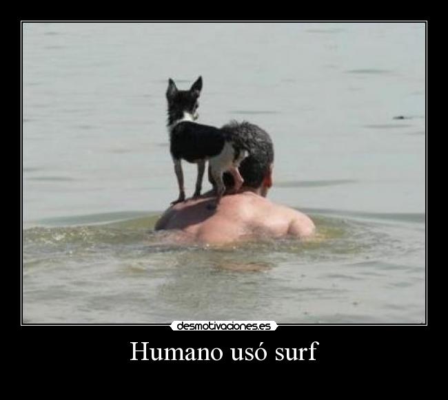 Humano usó surf -