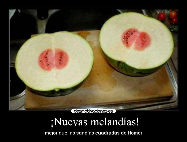 ¡Nuevas melandías! - 