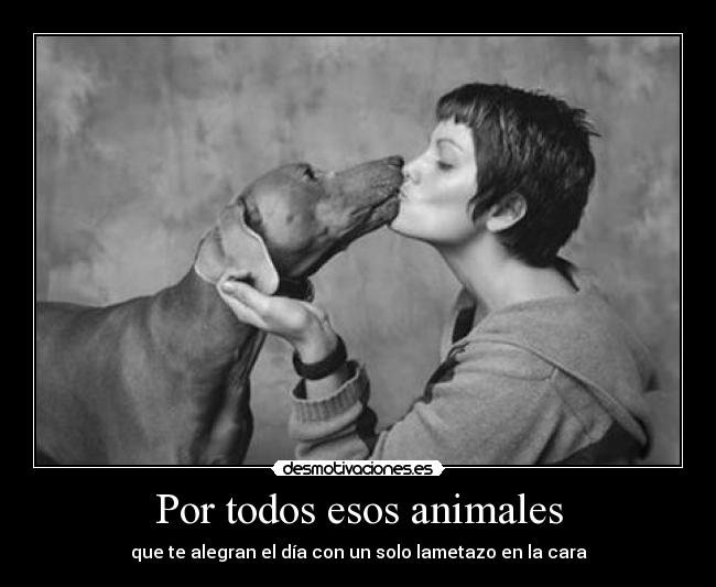 Por todos esos animales - 