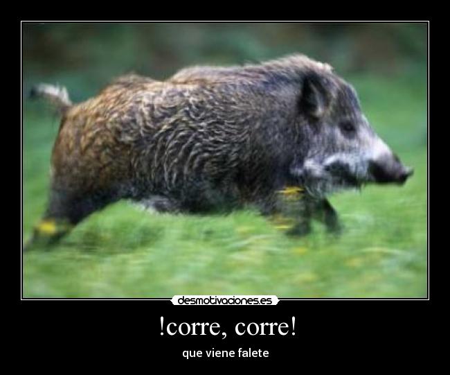 !corre, corre! -