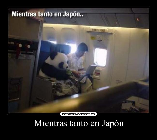 Mientras tanto en Japón - 