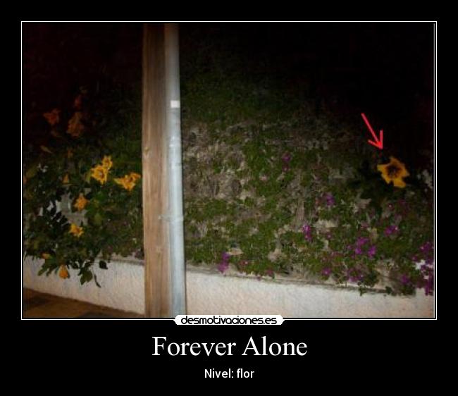Forever Alone -