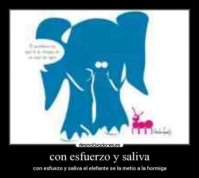 con esfuerzo y saliva - con esfuezo y saliva el elefante se la metio a la hormiga