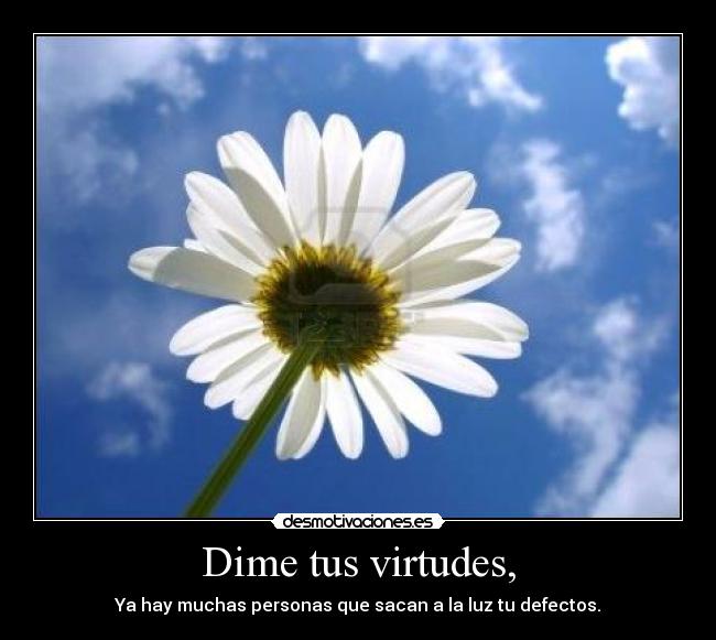 Dime tus virtudes, - Ya hay muchas personas que sacan a la luz tu defectos.