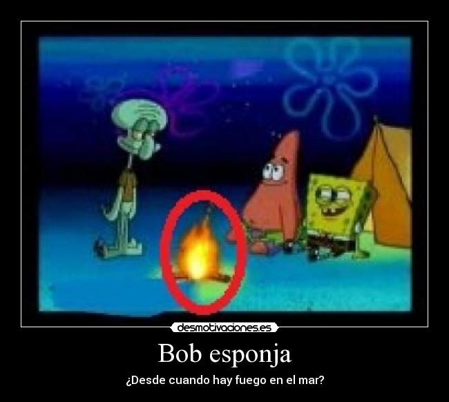 Bob esponja - 