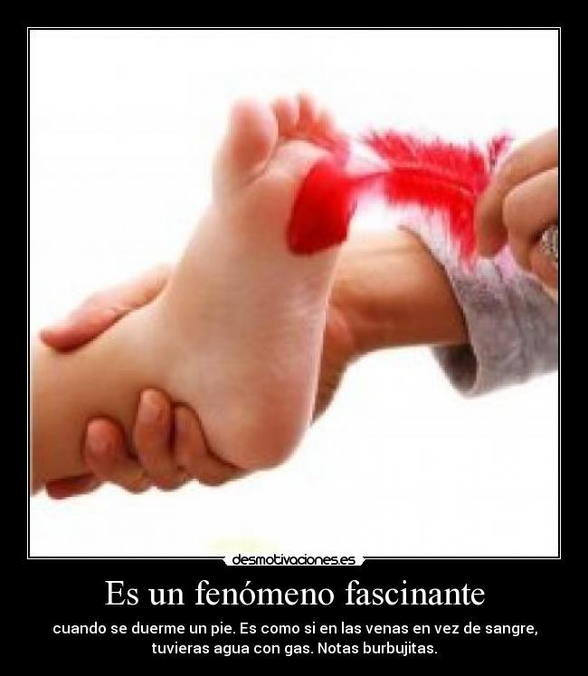 Es un fenómeno fascinante - cuando se duerme un pie. Es como si en las venas en vez de sangre,
tuvieras agua con gas. Notas burbujitas.