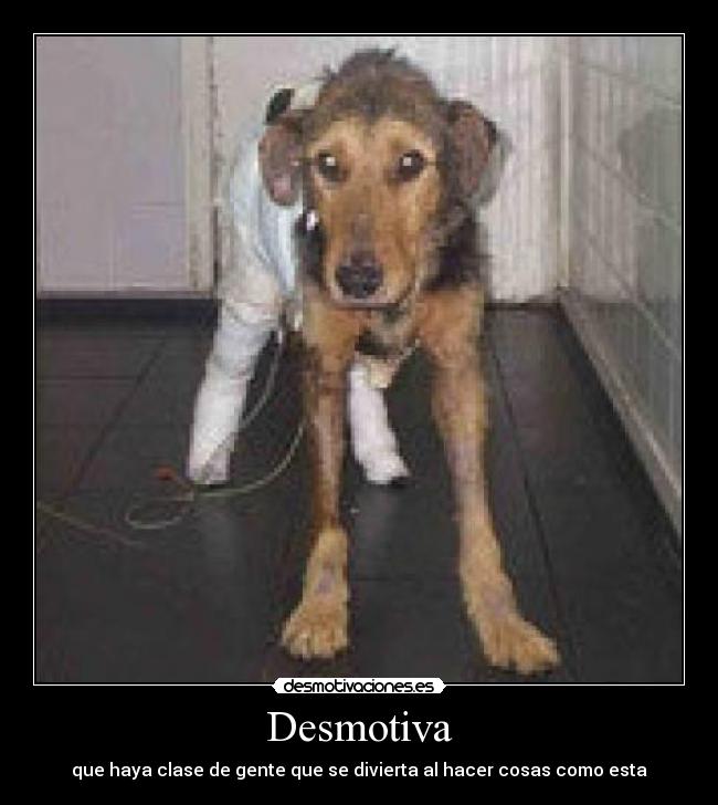 Desmotiva - 