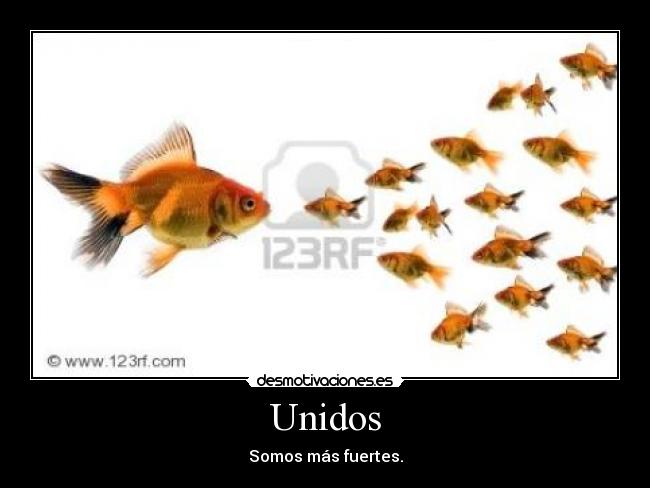 Unidos - 