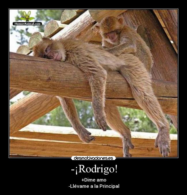 -¡Rodrigo! - +Dime amo
-Llévame a la Principal