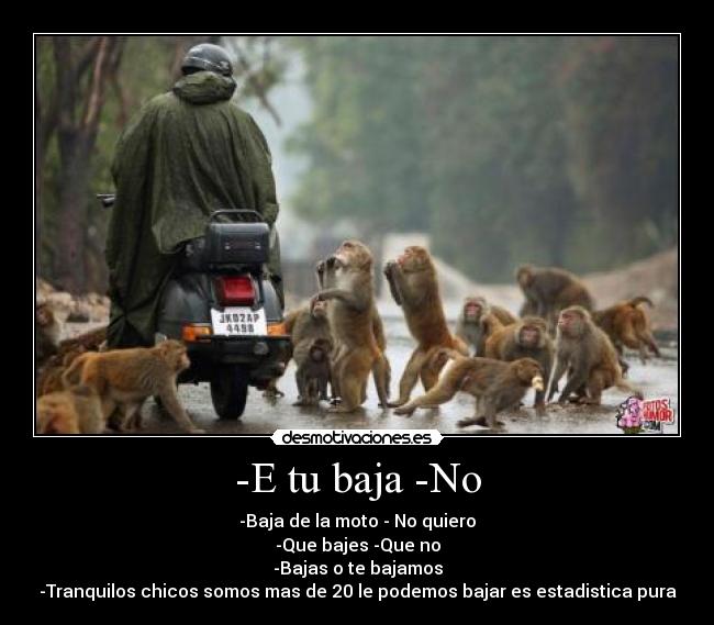 -E tu baja -No - -Baja de la moto - No quiero
-Que bajes -Que no
-Bajas o te bajamos
-Tranquilos chicos somos mas de 20 le podemos bajar es estadistica pura