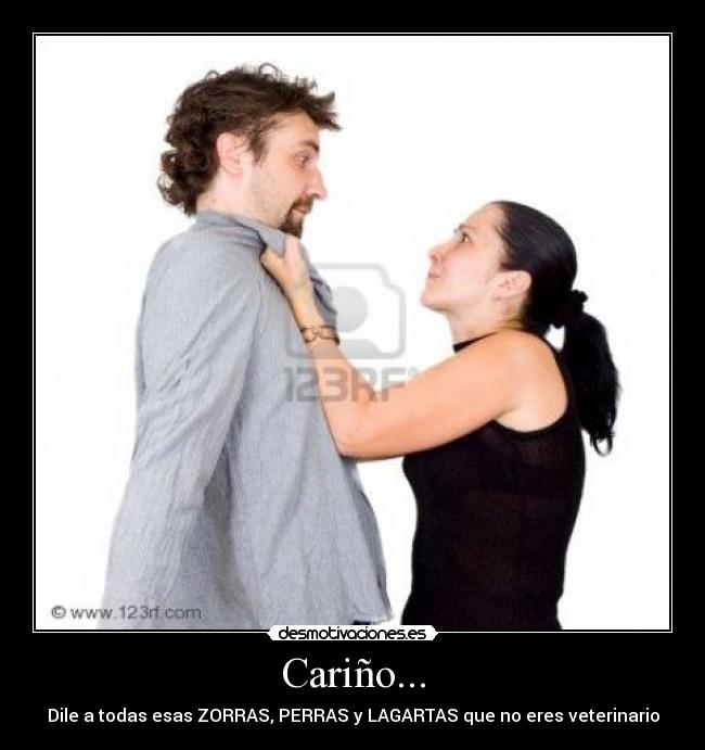 Cariño... - Dile a todas esas ZORRAS, PERRAS y LAGARTAS que no eres veterinario