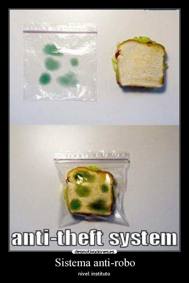 Sistema anti-robo - nivel: instituto