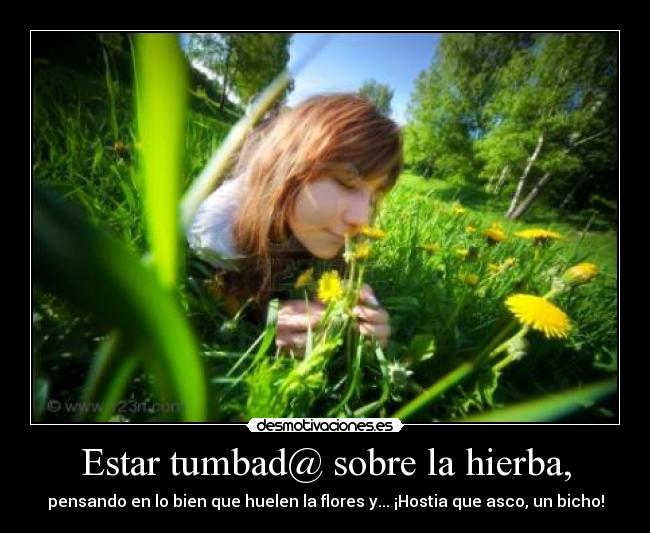 Estar tumbad@ sobre la hierba, -