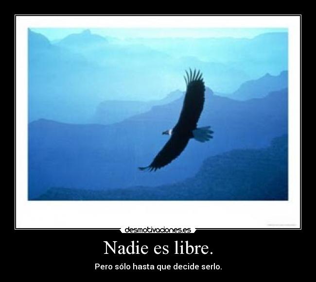 Nadie es libre. -