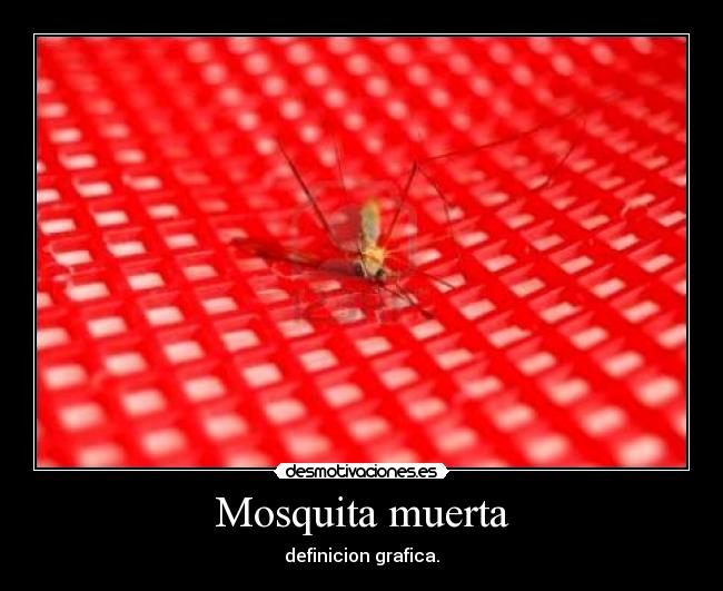 Mosquita muerta -