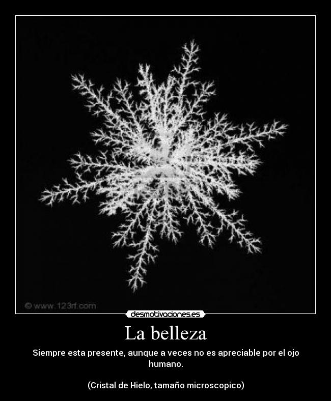 carteles hielo belleza desmotivaciones