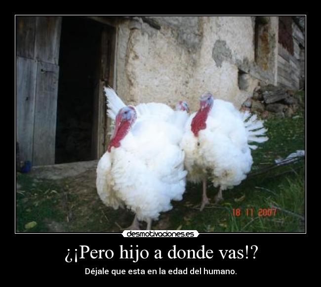 ¿¡Pero hijo a donde vas!? - 