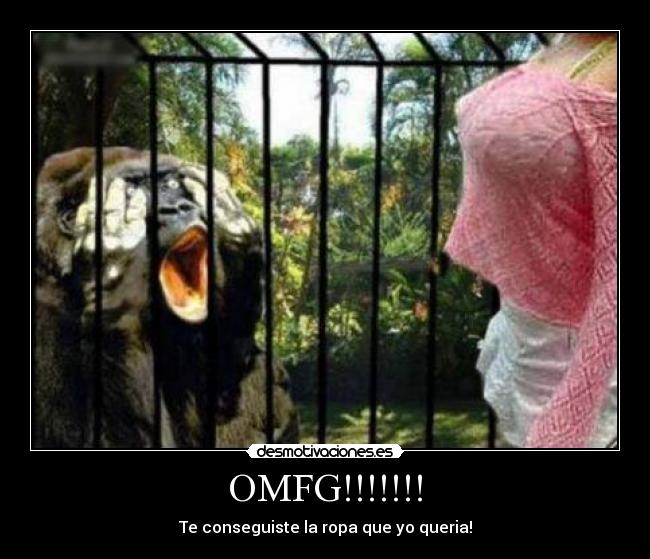 OMFG!!!!!!! - 