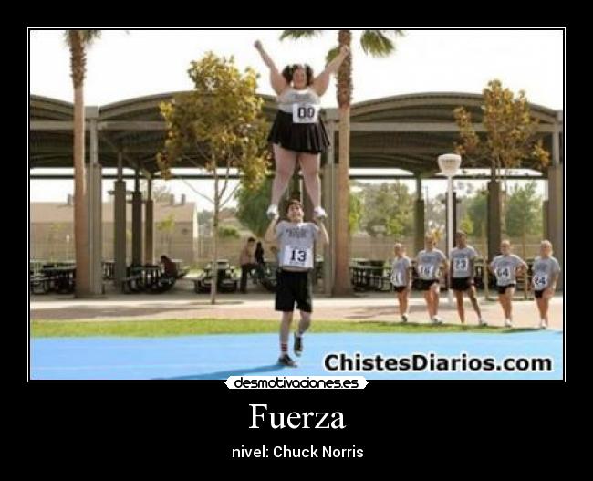 Fuerza - nivel: Chuck Norris